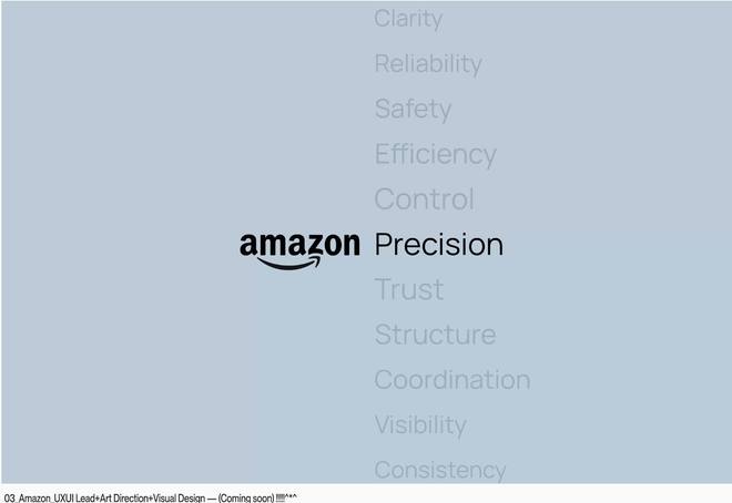 amazon project cover