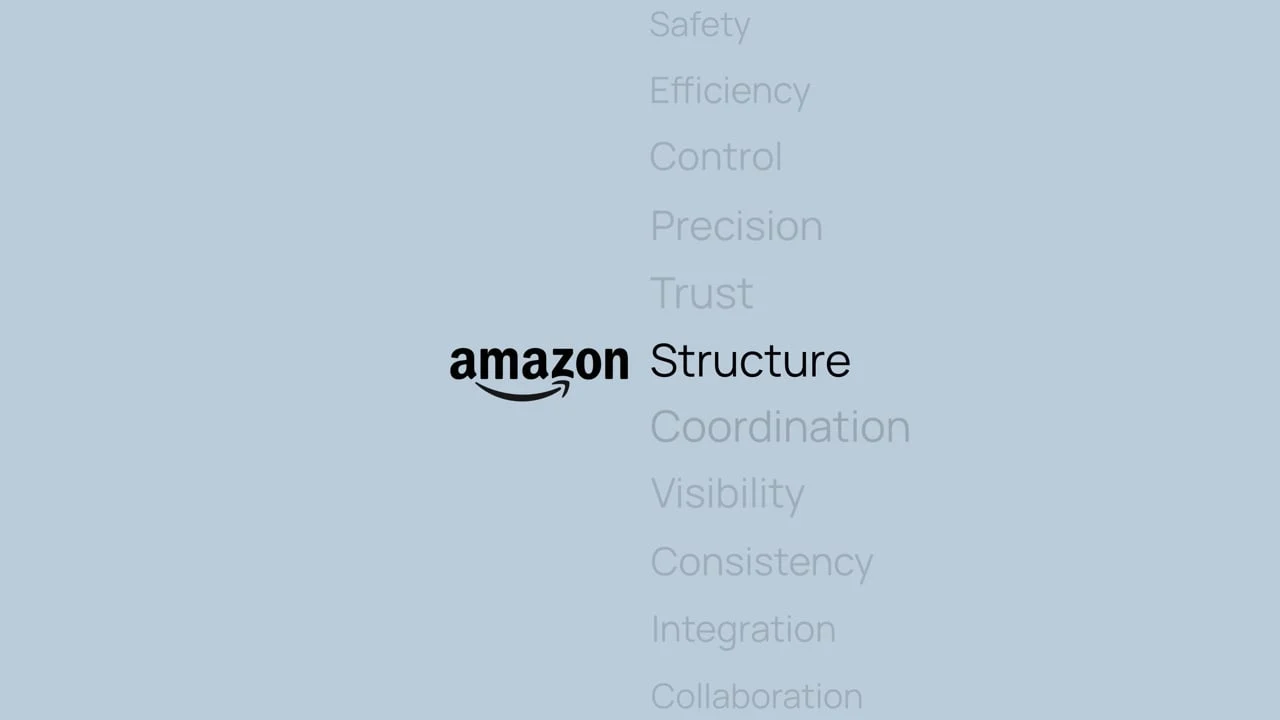 Amazon project