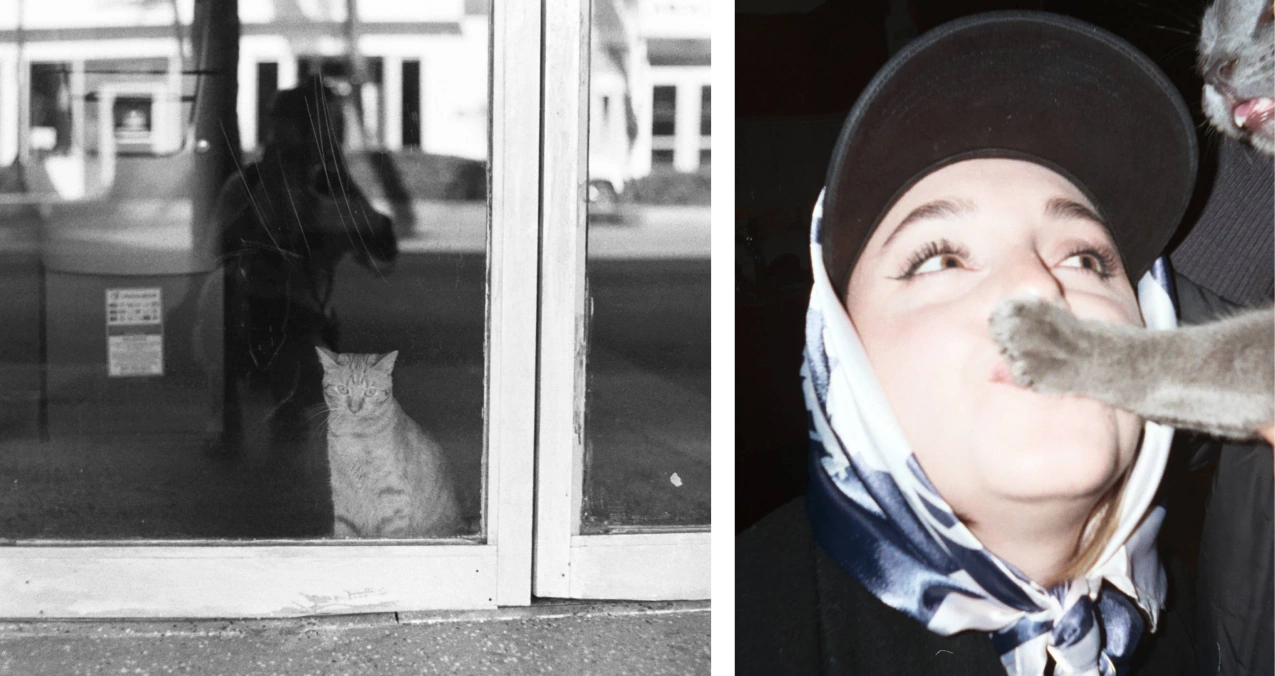 A black-and-white cat behind a shop window beside a portrait with a cat paw across the face.